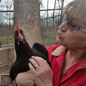 Meet your Posher, Jeannette